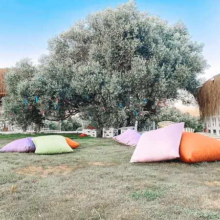 Alacati Barbarossa מלון 3*