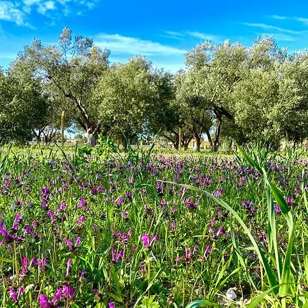 Alacati Barbarossa Кешме