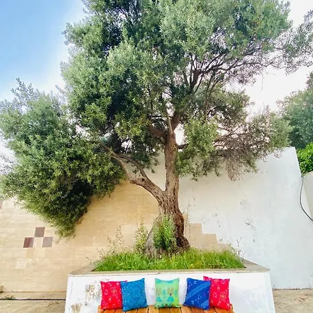 מלון Alacati Barbarossa 3*