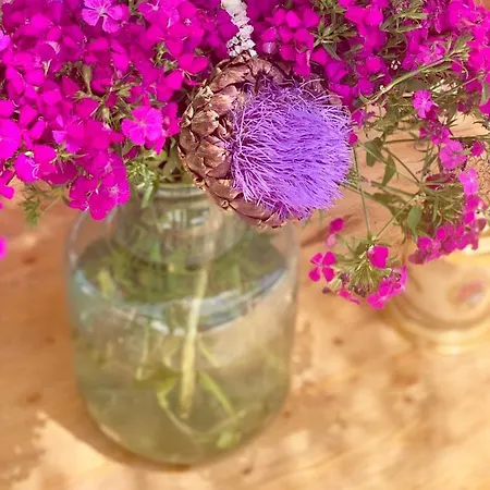 Отель Alacati Barbarossa Кешме