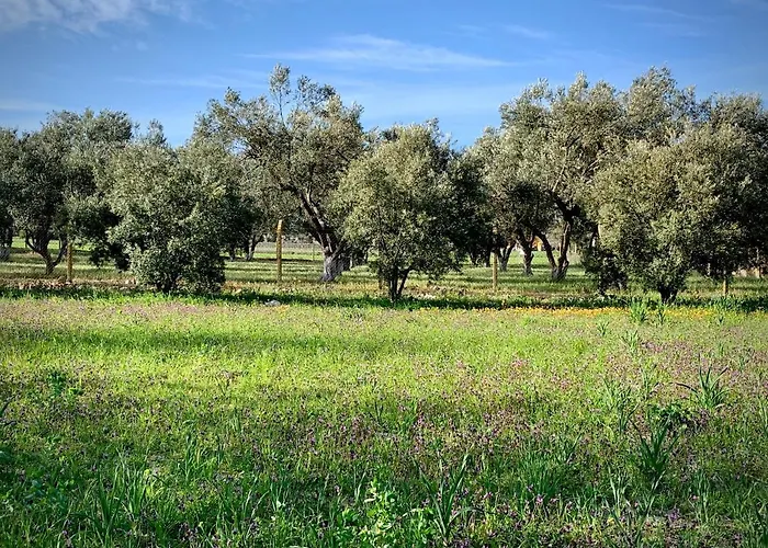 Hotel Alacati Barbarossa 3*