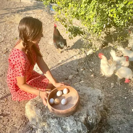 Hotel Alacati Barbarossa