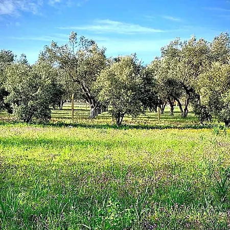 Alaçatı Barbarossa 3*