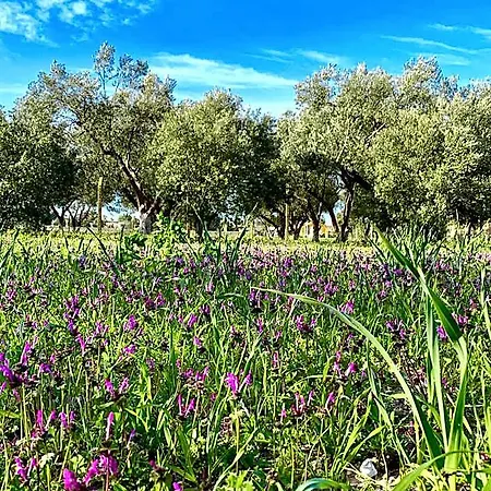 Otel Alaçatı Barbarossa 3*