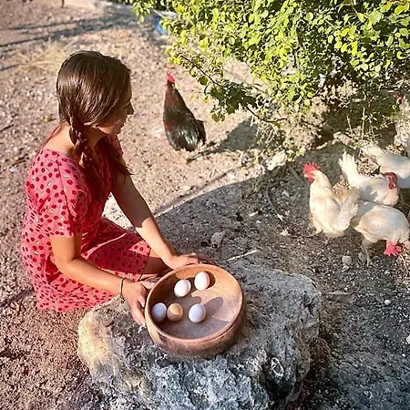 Alacati Barbarossa 3* Çeşme
