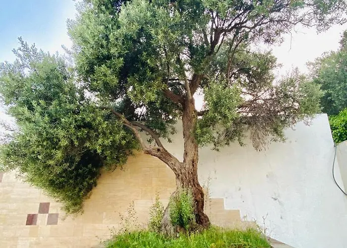 Szálloda Alacati Barbarossa 3*