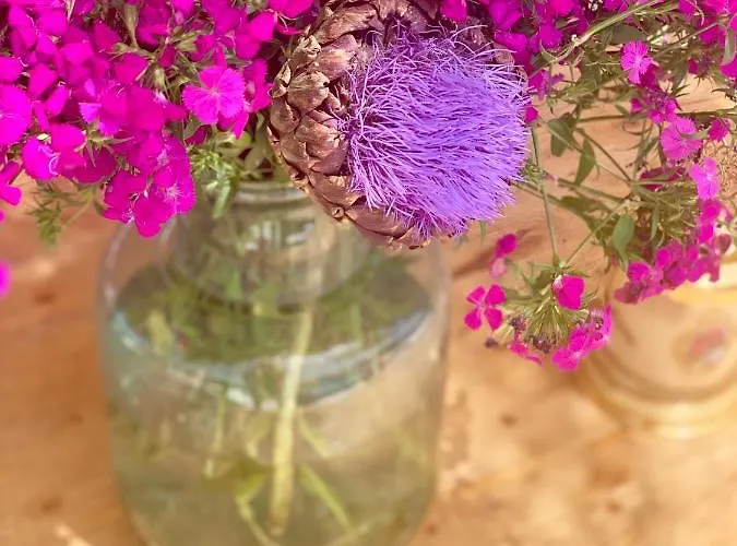 Szálloda Alacati Barbarossa Çeşme