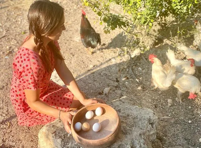 Szálloda Alacati Barbarossa